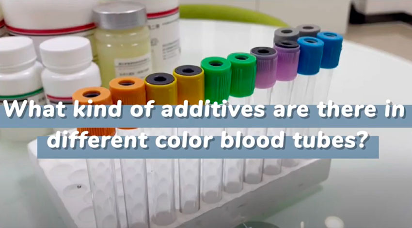 Có loại phụ gia nào trong các ống máu màu khác nhau